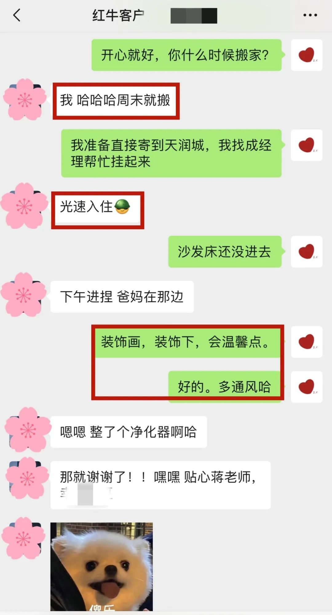 喜報｜金秋十月，收獲滿滿，紅牛裝飾再獲三面錦旗！05